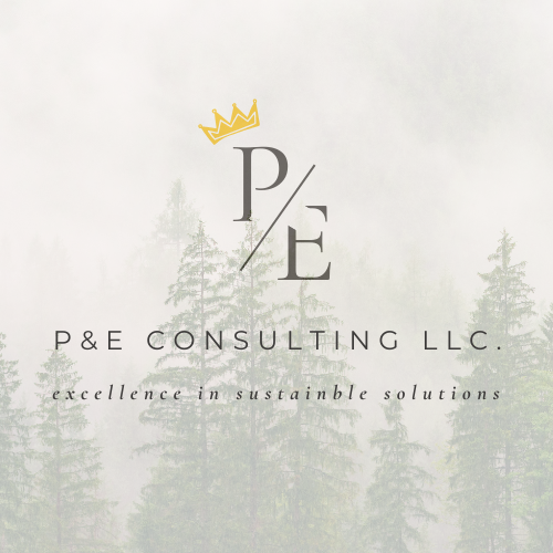 P&E Consulting logo